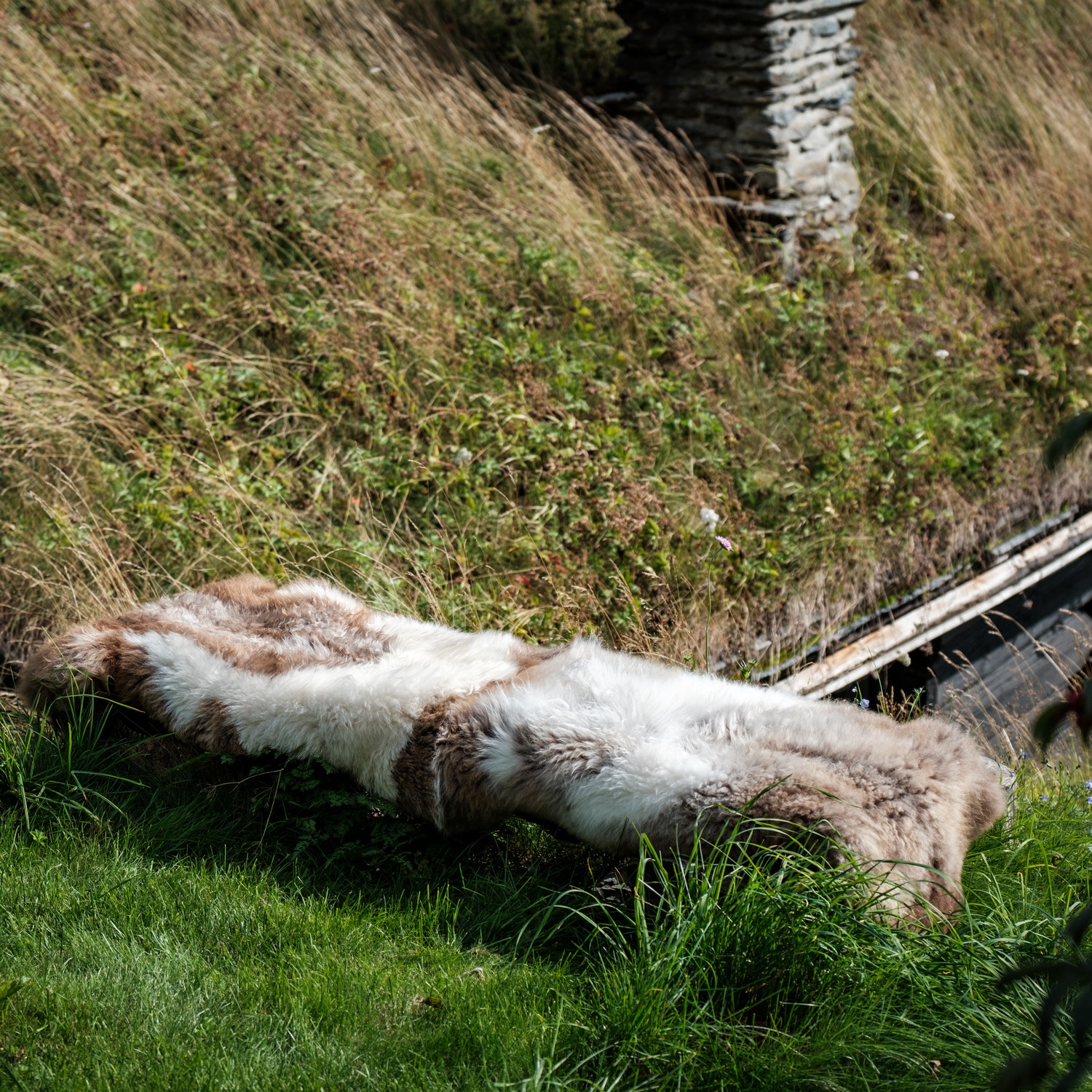 Lammeskinn Espegard Lang