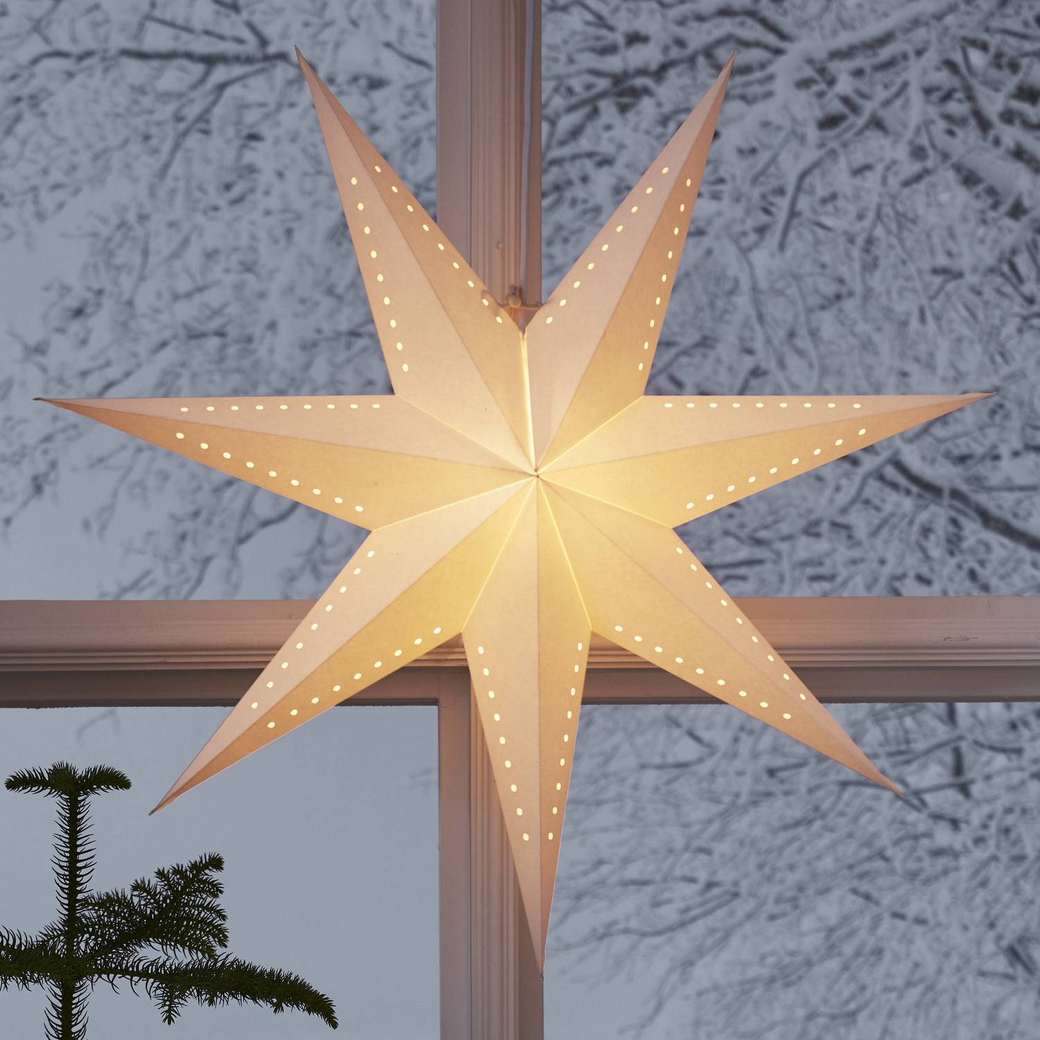 Adventstjerne Star Trading Mika Papirstjerne