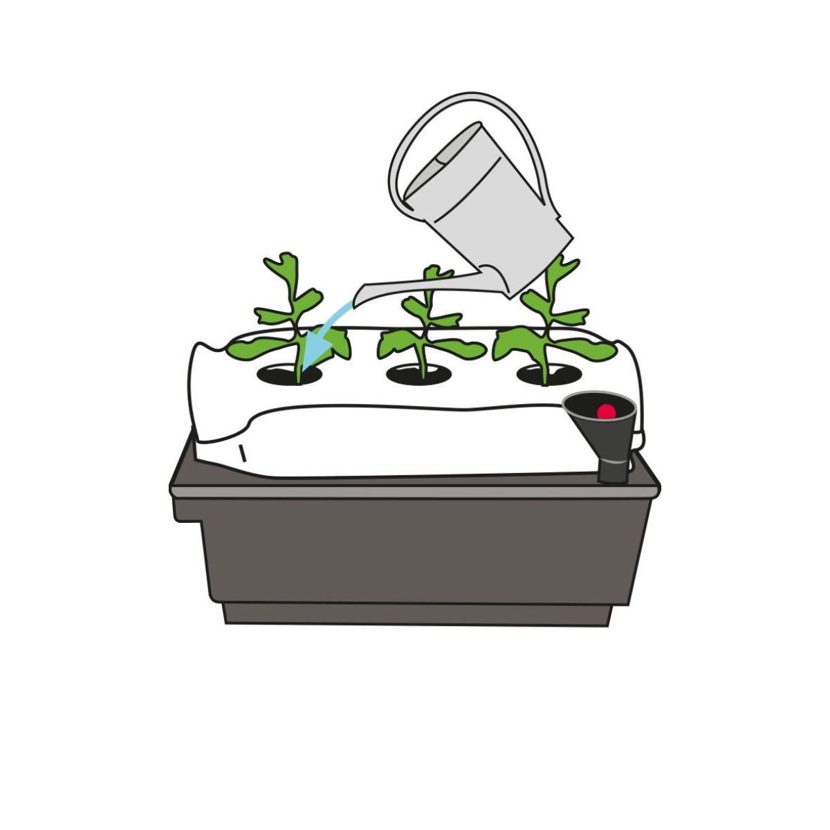 Vanningskasse Biolan for Plantepose