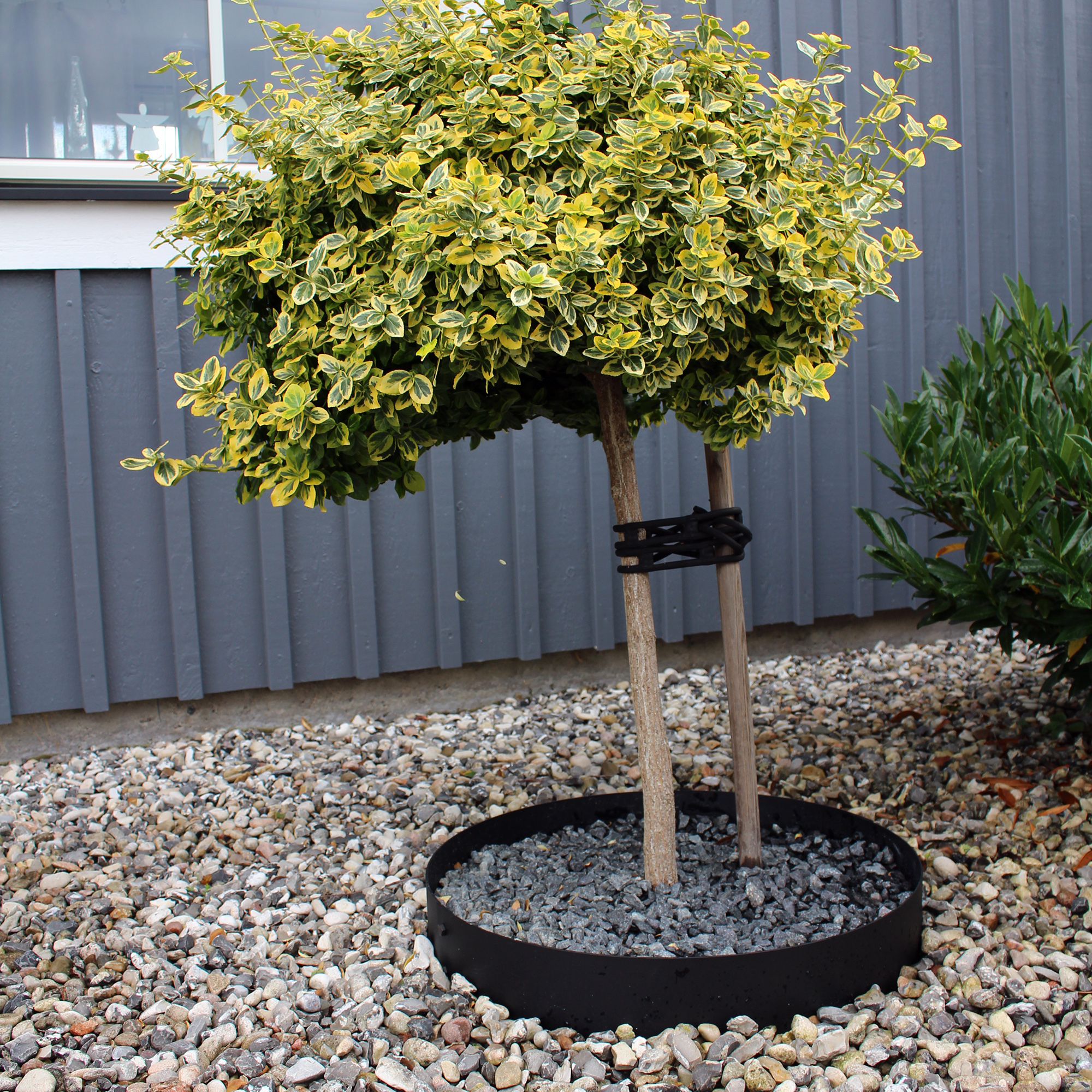 Trädring Wernamo Design Svart Ø 110 cm