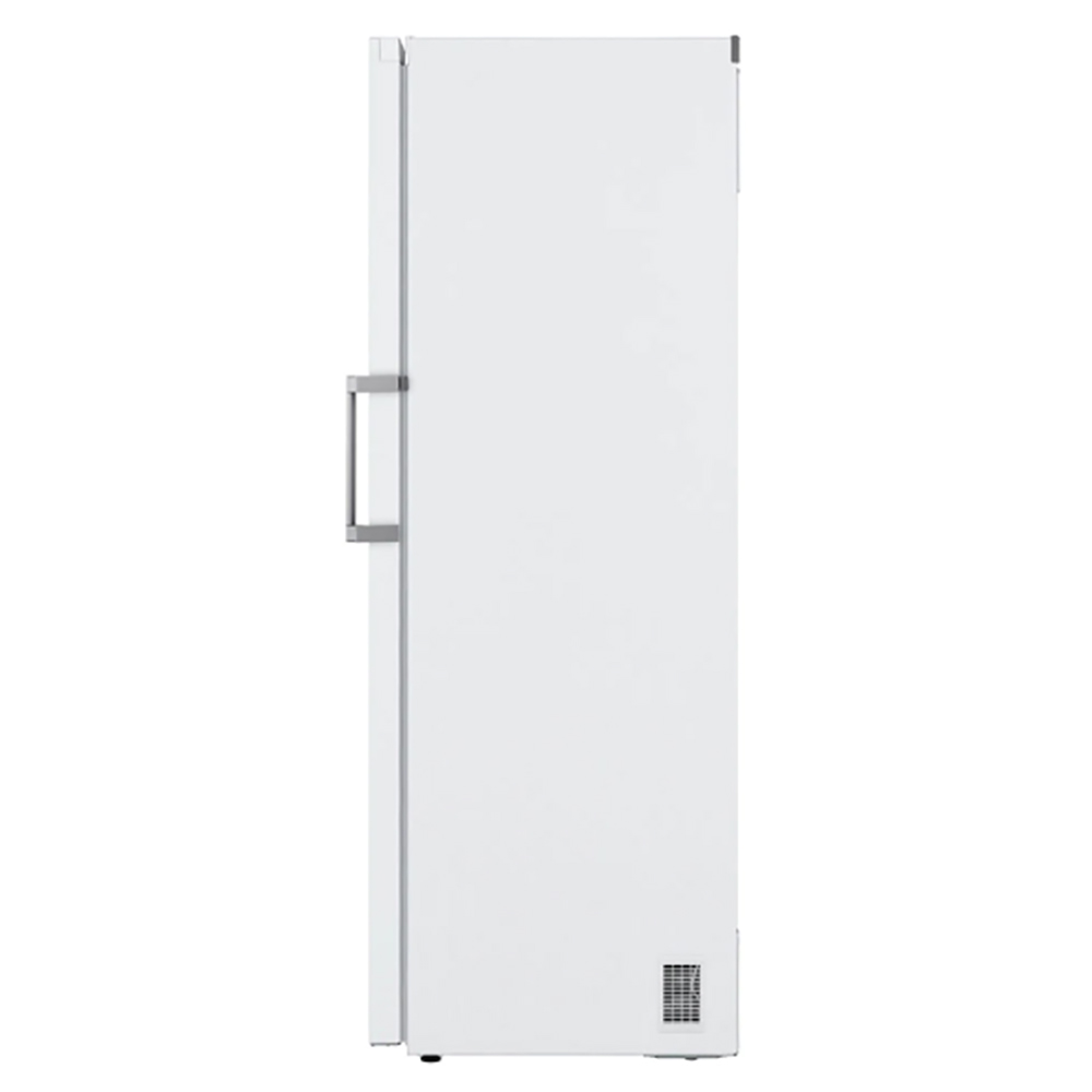 Fryser LG GFT41SWGSZ