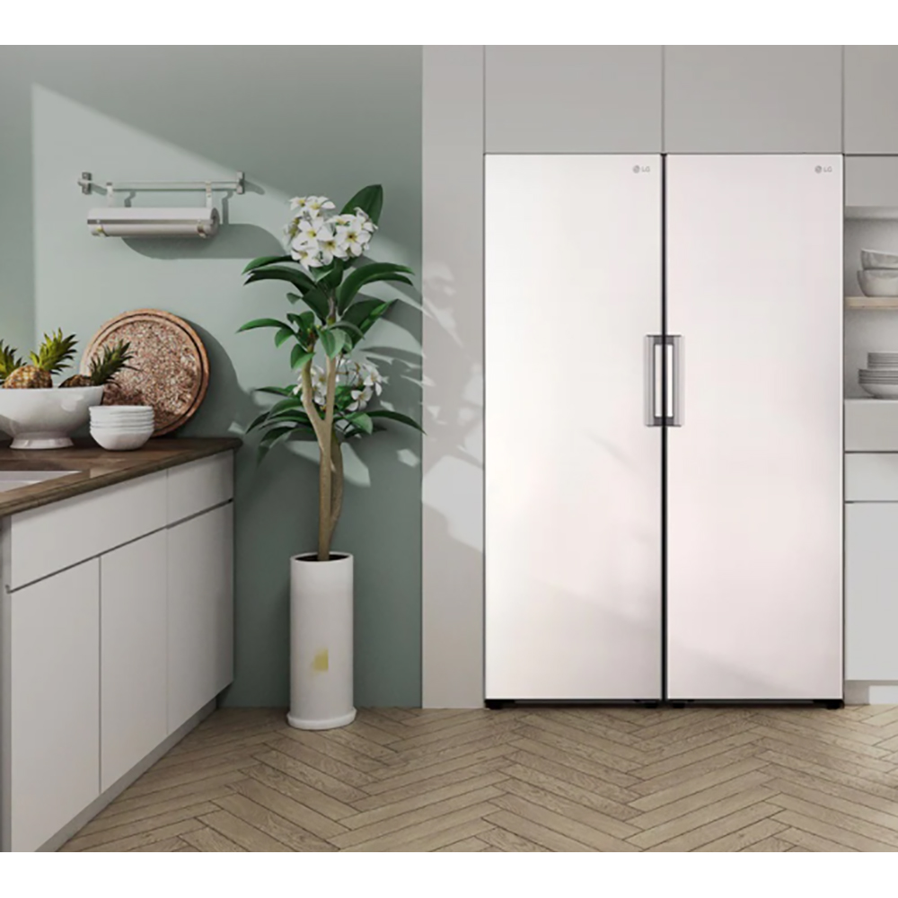 Fryser LG GFT41SWGSZ