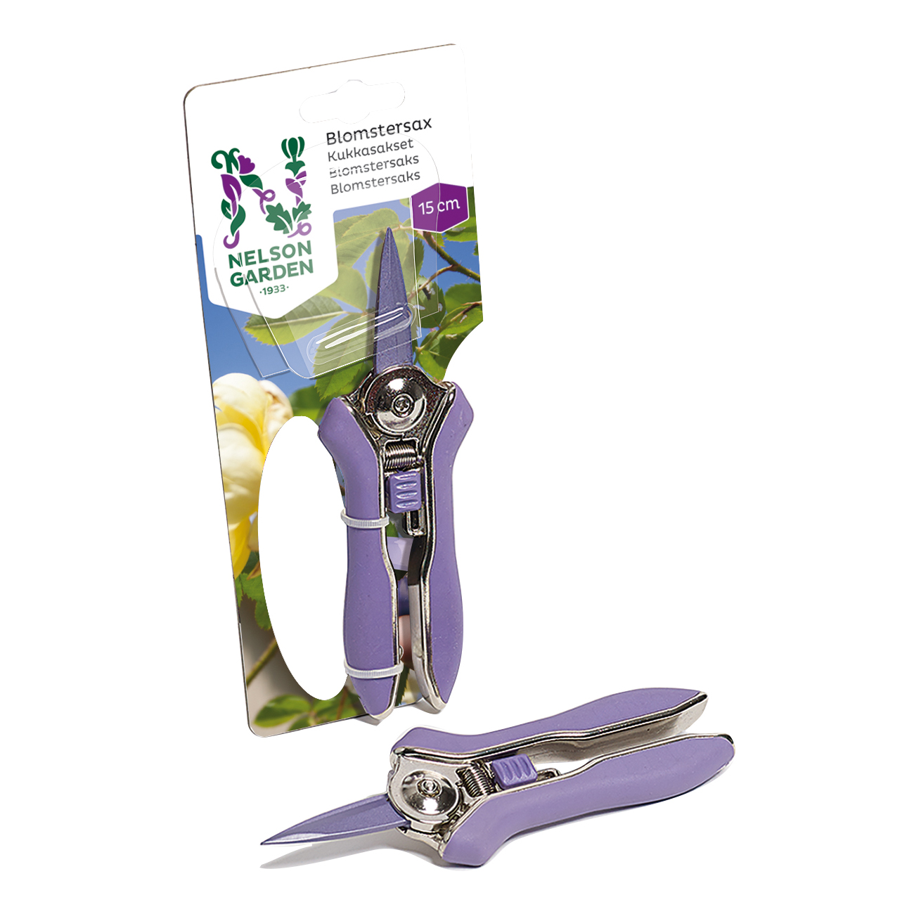 Blomstersax Nelson Garden 15 cm Lila