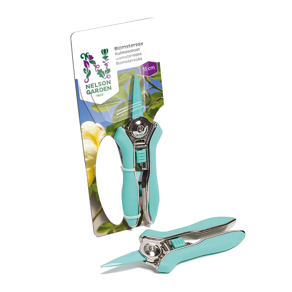 Blomstersax Nelson Garden 15 cm Grön