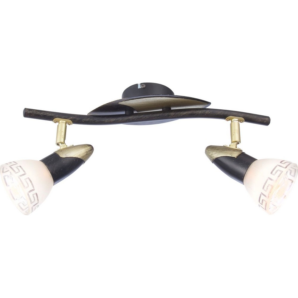 Spotlight Globo Lighting Novara 2L