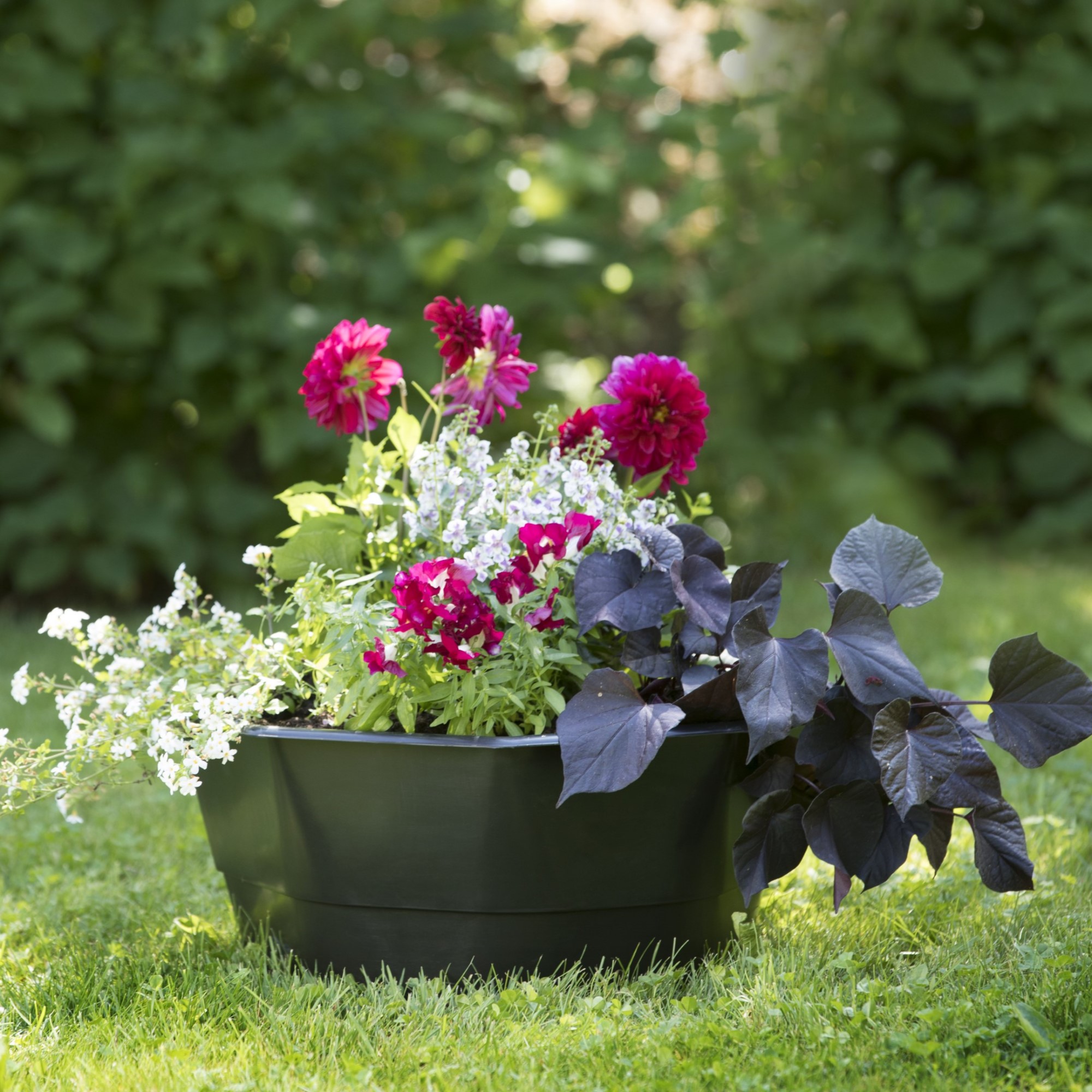 Plantekasse Biolan 16 L