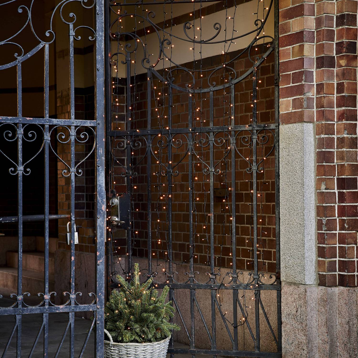 Lyslenke Star Trading Golden Warm White Utendørs 25 meter 360 LED-Lamper