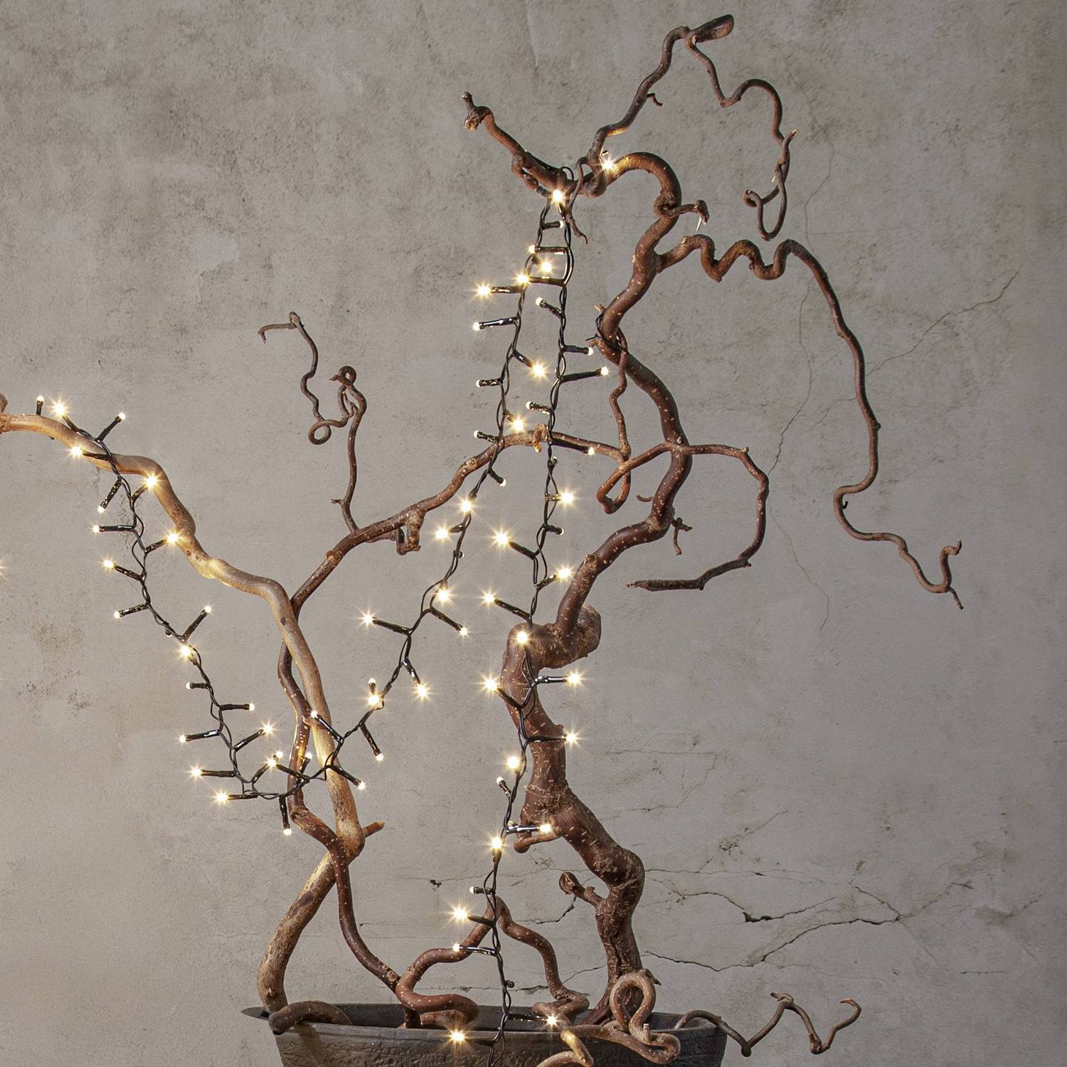 Lyslenke Star Trading Shiny Warm White Utendørs 5,5 meter 80 LED-Lamper