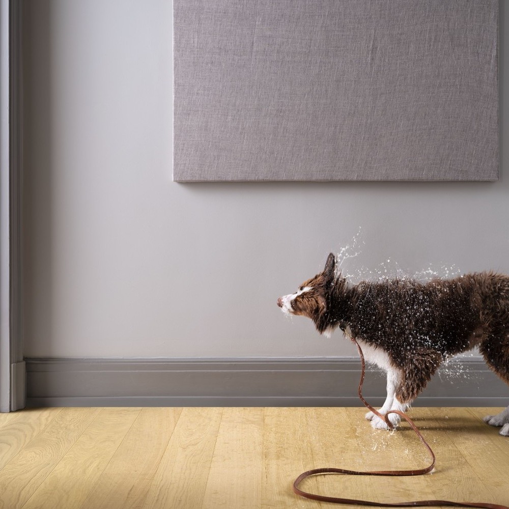 Parkett Pergo W1261 Light Pure Oak