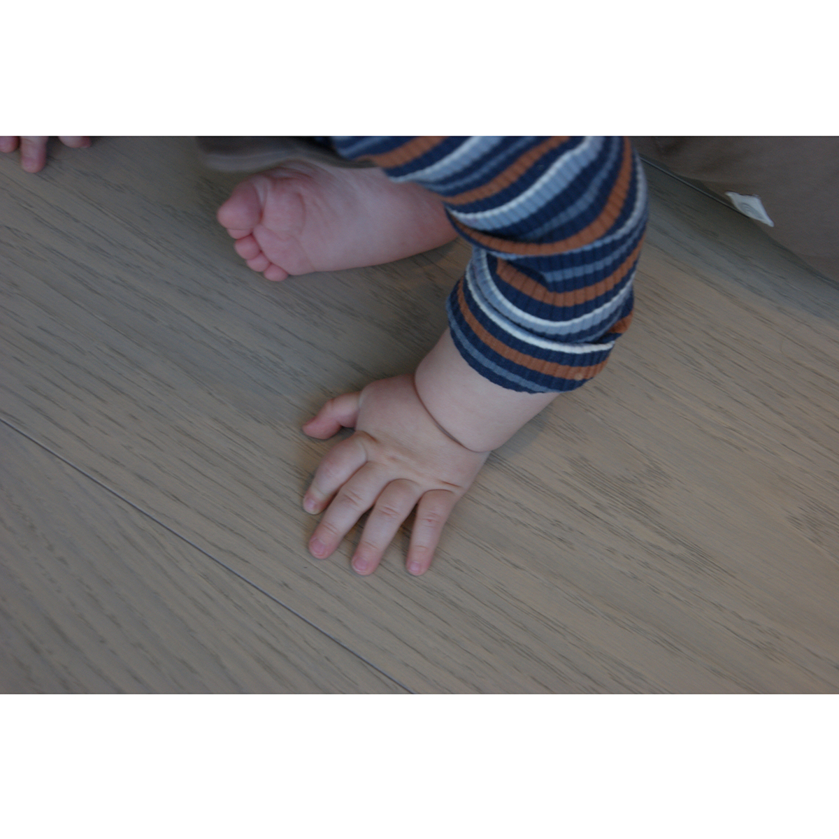 Tregulv North Wood Brage Select Varmgrå Mattlakk