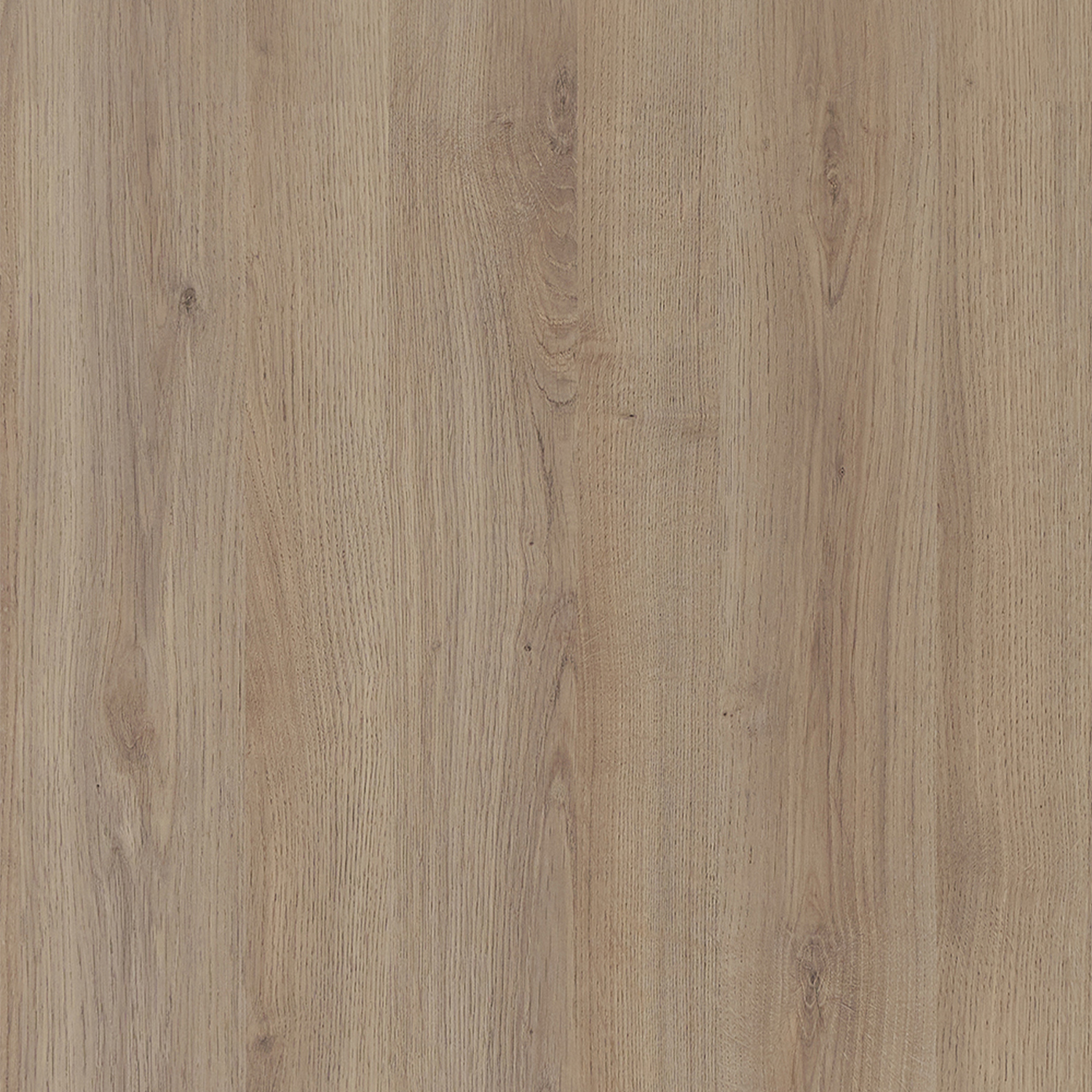 Trefiberplate fibo Vito