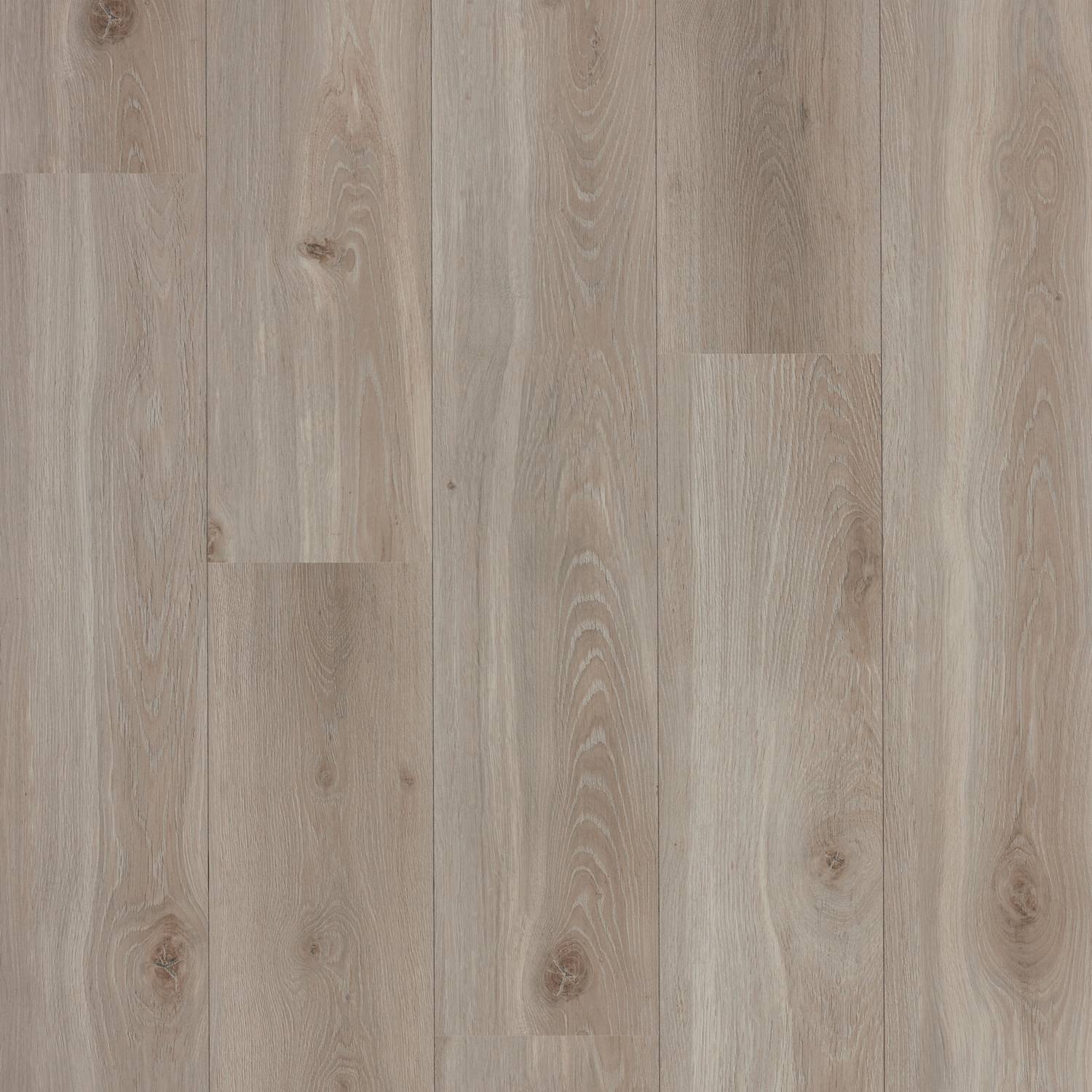 Laminatgulv BerryAlloc Original Core Elegant Oak Natural