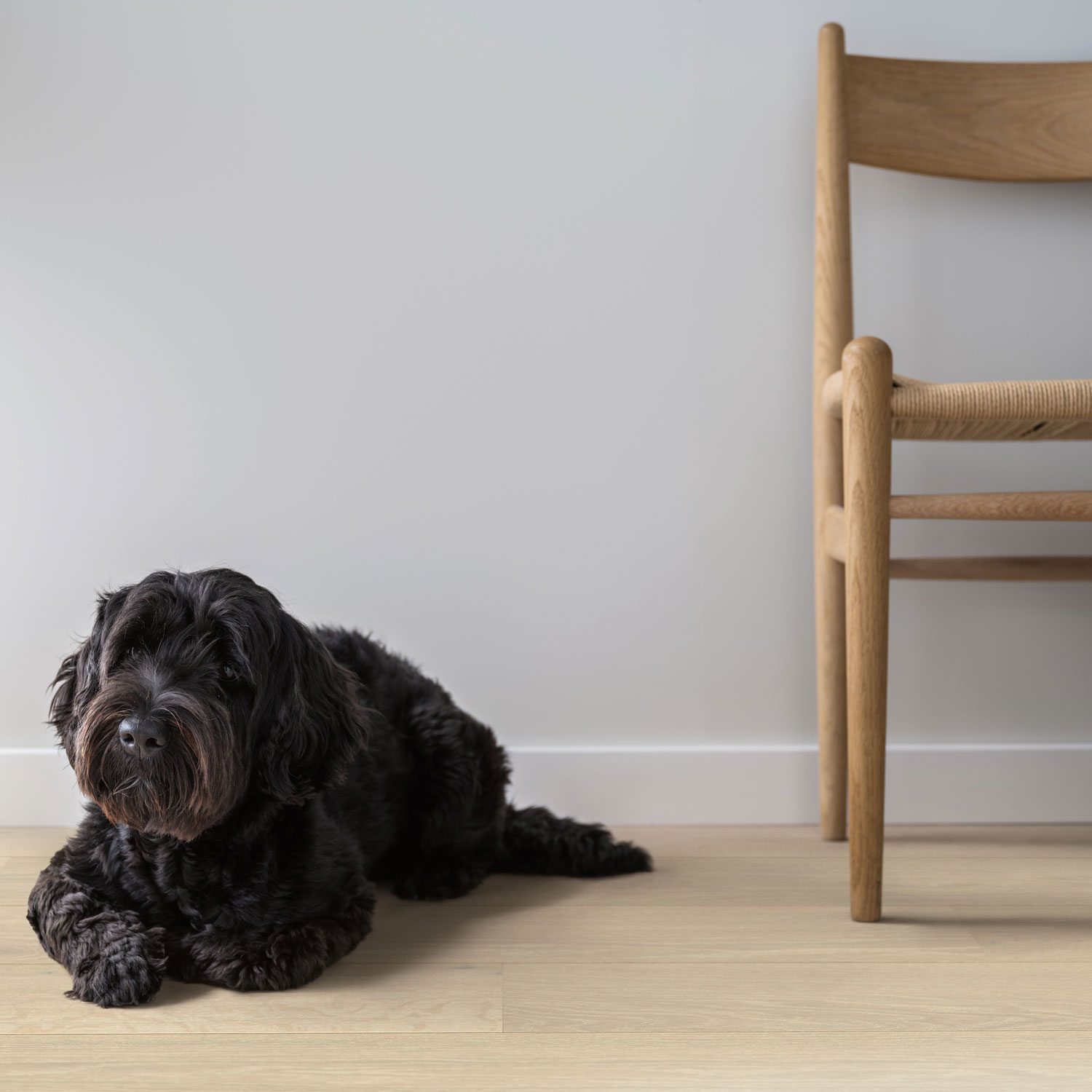 Parkett Pergo Lofoten Arctic Oak