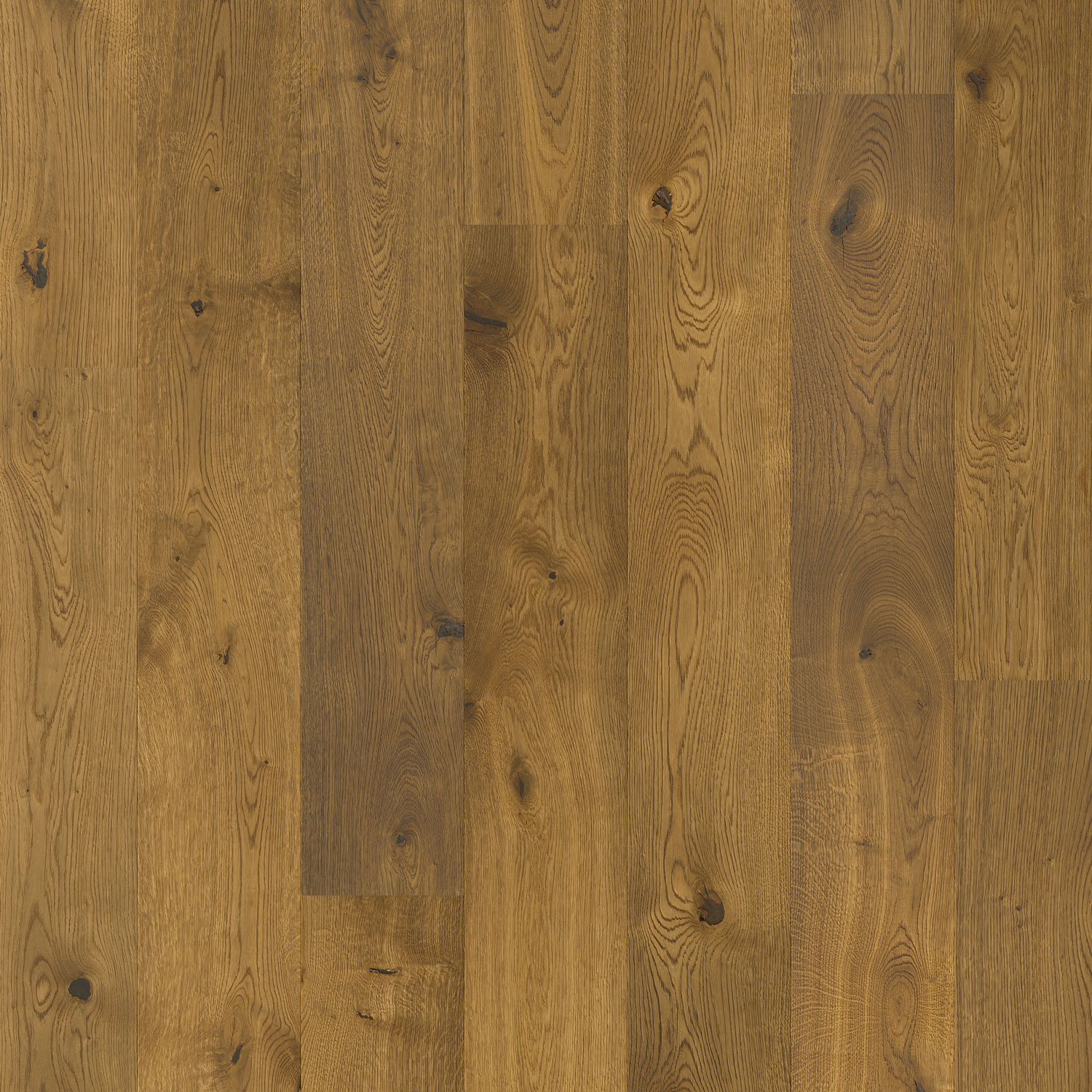 Parkett Pergo Lofoten Camel Brown Oak