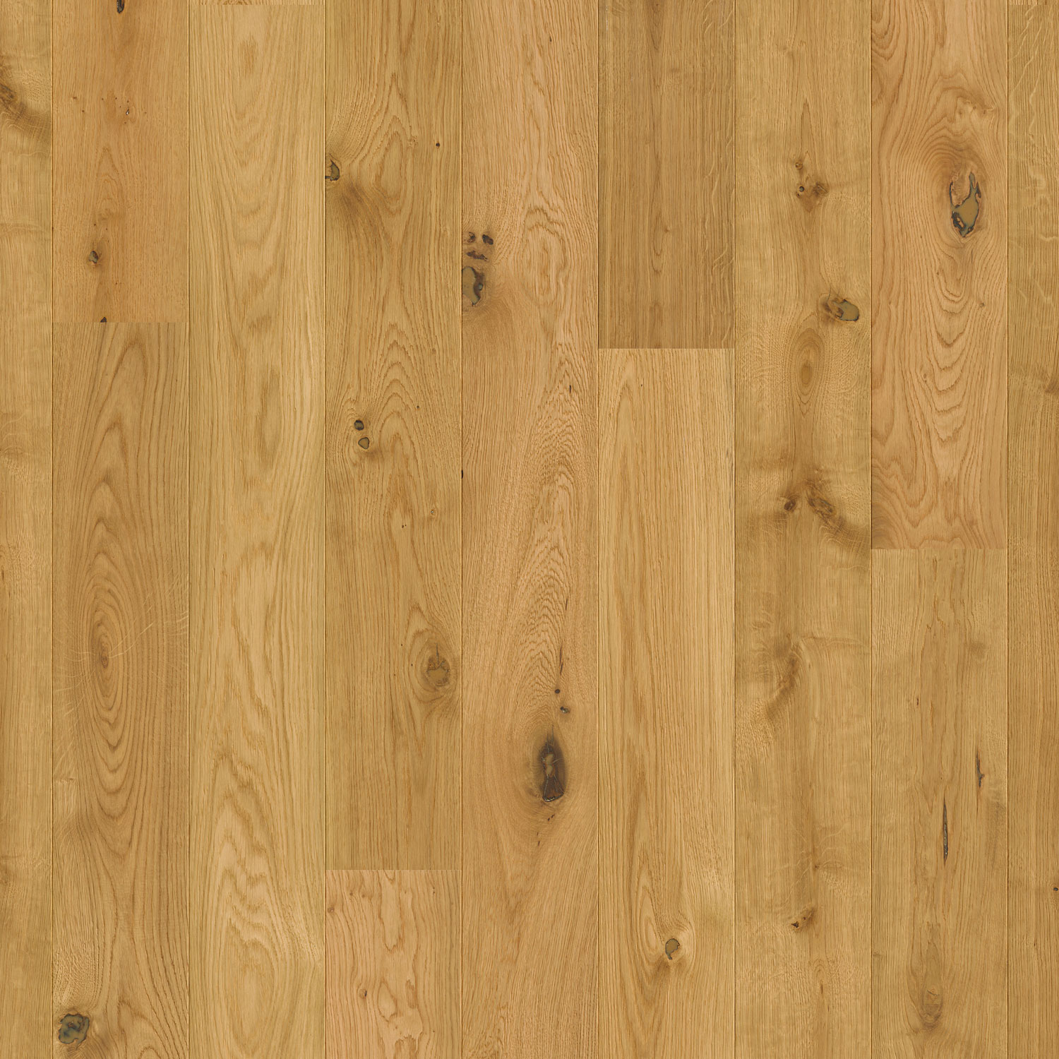 Parkett Pergo Falster Natural Oak