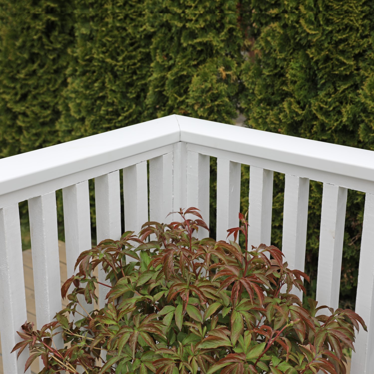 Altanrekke Krifon Alu Hvit