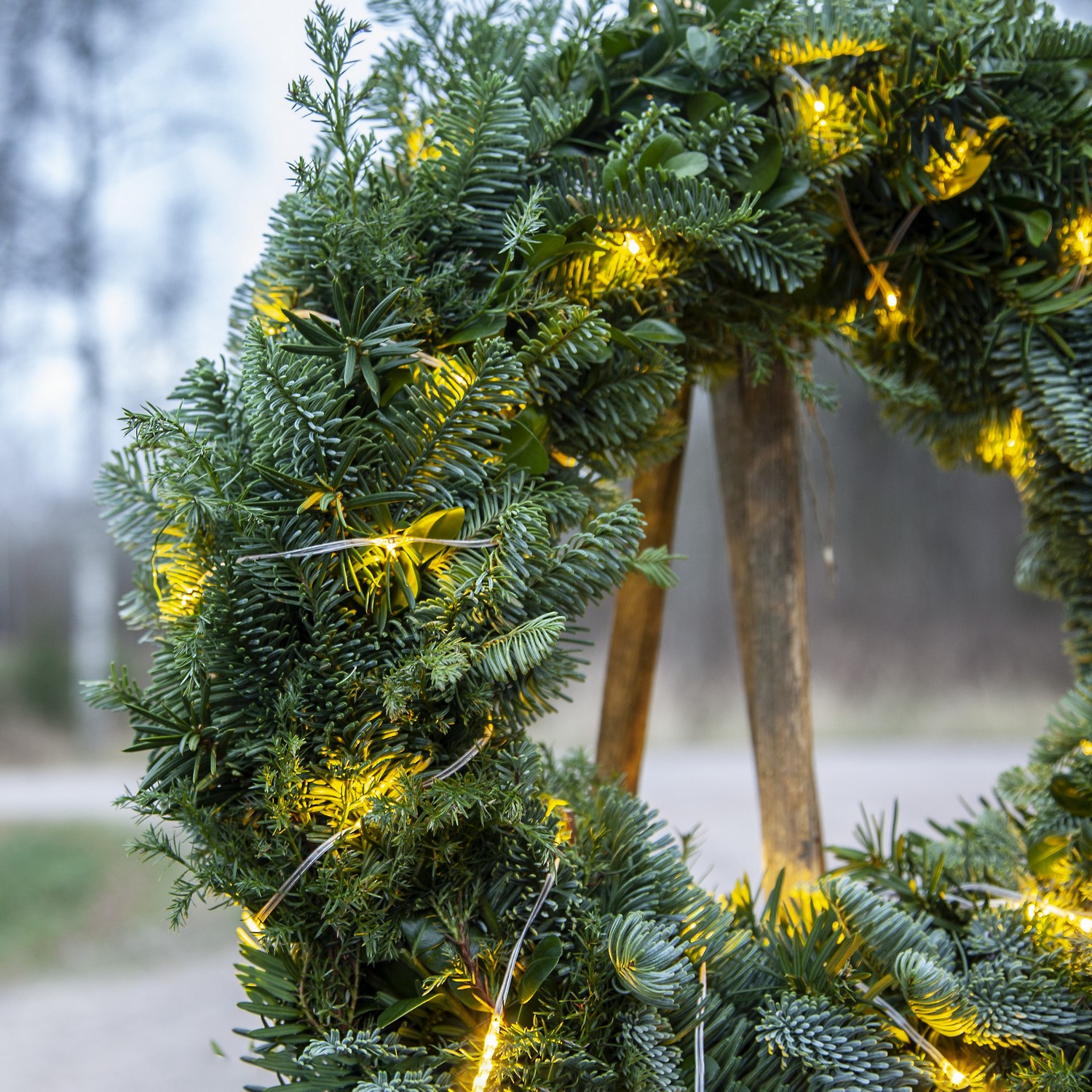 Lyslenke Star Trading Dew Drop Micro