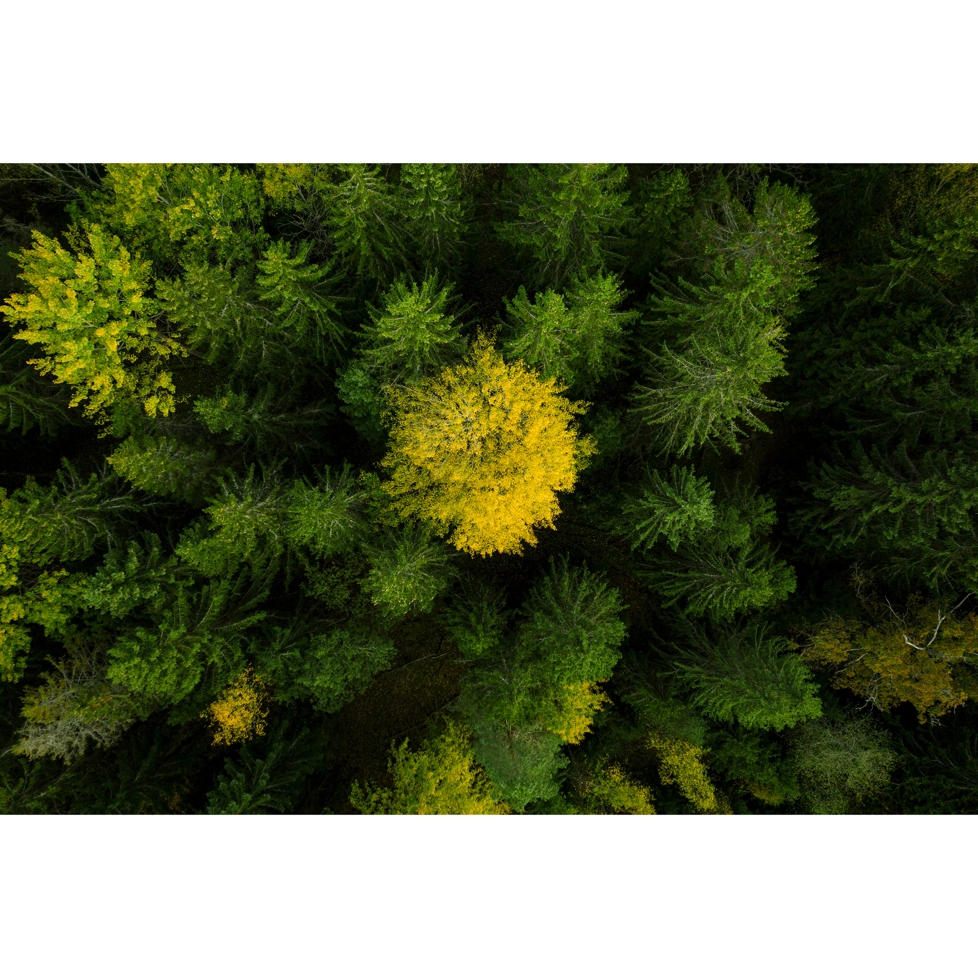 Robotgressklipper Husqvarna Automower® 405VE NERA