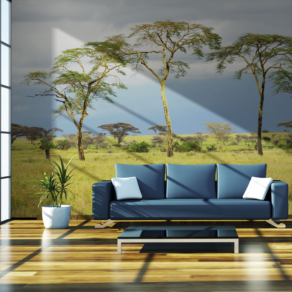 Fototapet Arkiio Savanna Trees Storlek: 350x270 cm