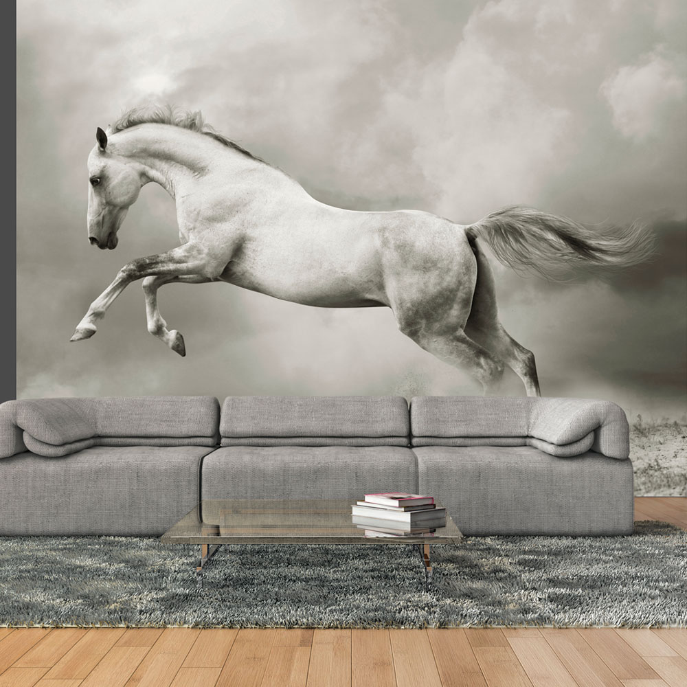 Fototapet Arkiio Wild Hingst Storlek: 250x193 cm