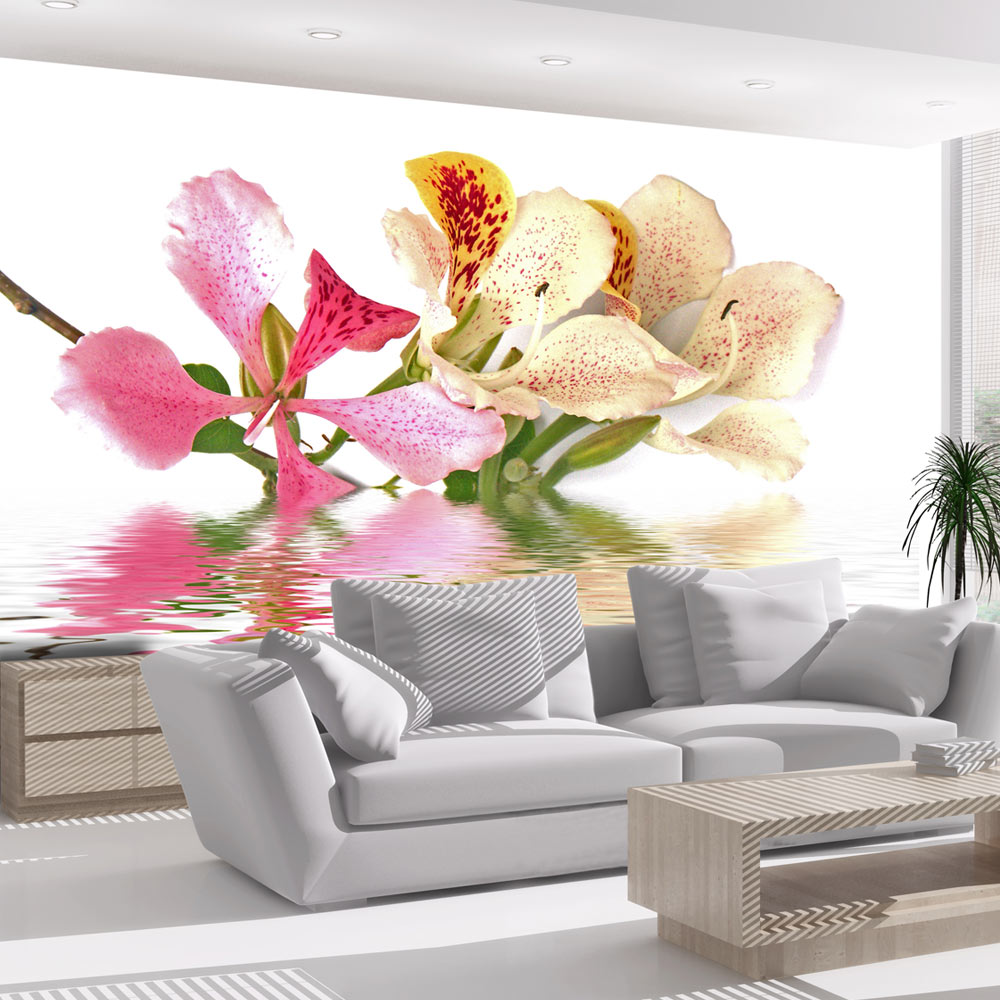 Fototapet Arkiio Tropiska Blommor Orchid Tree Bauhinia Storlek: 400x309 cm