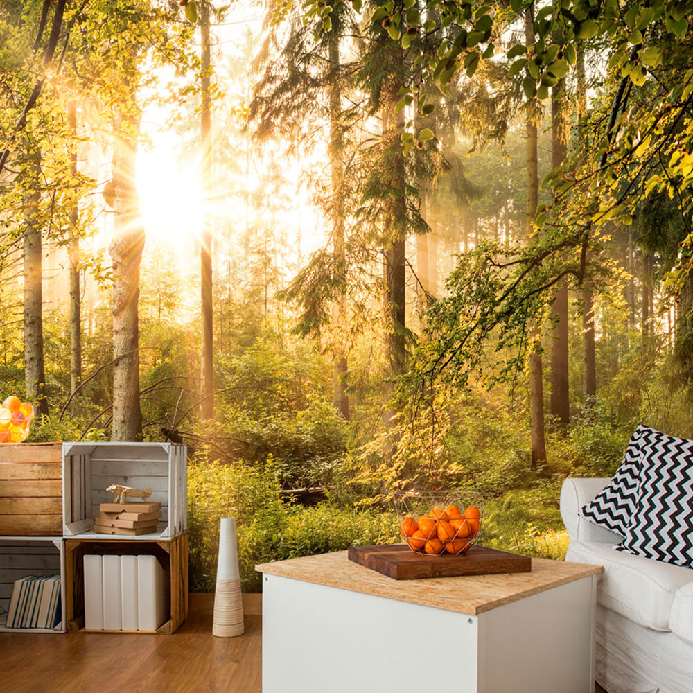 Fototapet Arkiio Självhäftande Mystic Of The Morning Storlek: 147x105 cm