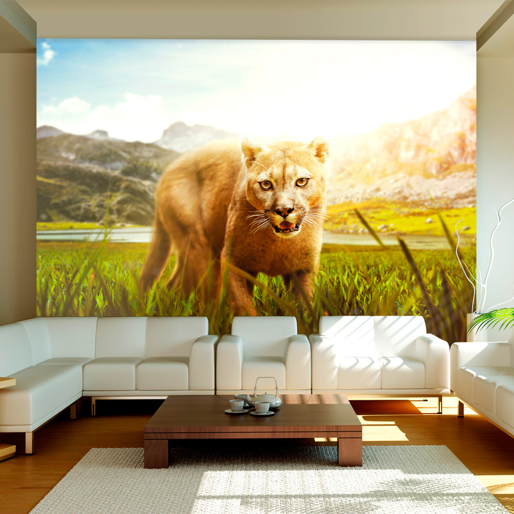 Fototapet Arkiio Watch Out! Storlek: 350x245 cm