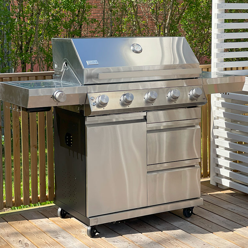 Gassgrill Bluegaz Z501