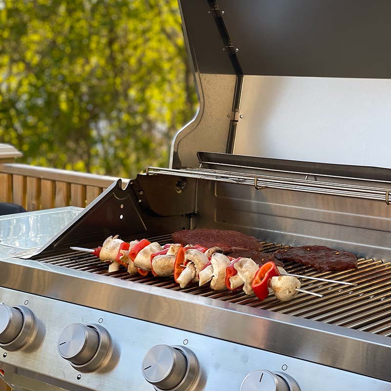 Gassgrill Bluegaz Z501