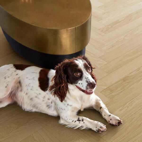 Tregulv BerryAlloc Parqwood Herringbone Chene Calm A+B