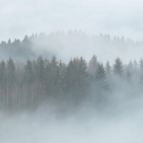 Fototapet Living Walls Designwalls DD118604