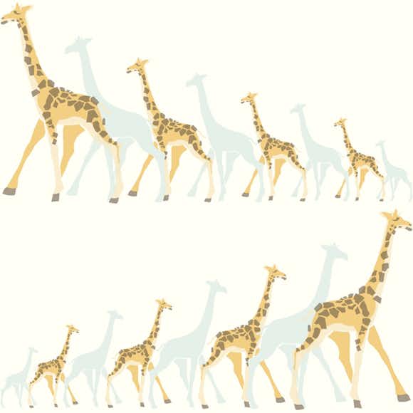 Tapet York Wallcoverings Dwell Studio Baby & Kids DW2360