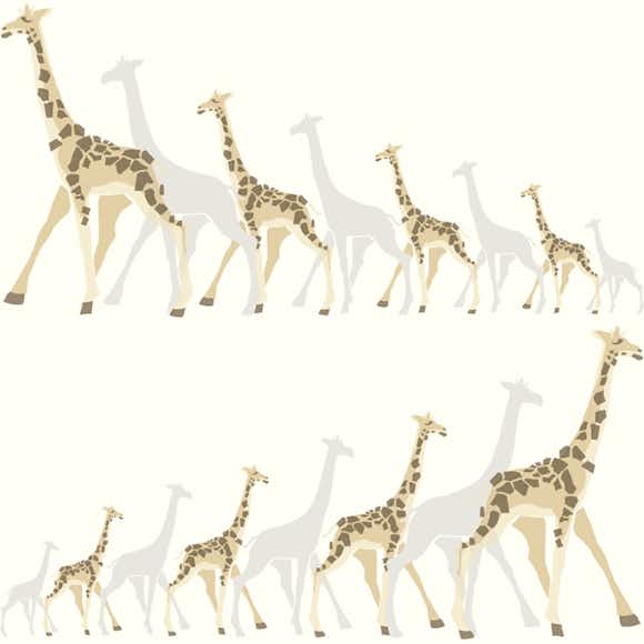 Tapet York Wallcoverings Dwell Studio Baby & Kids DW2362