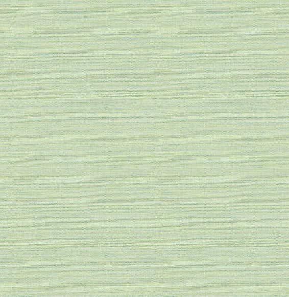 Tapet A Street Prints Grasscloth FD24284