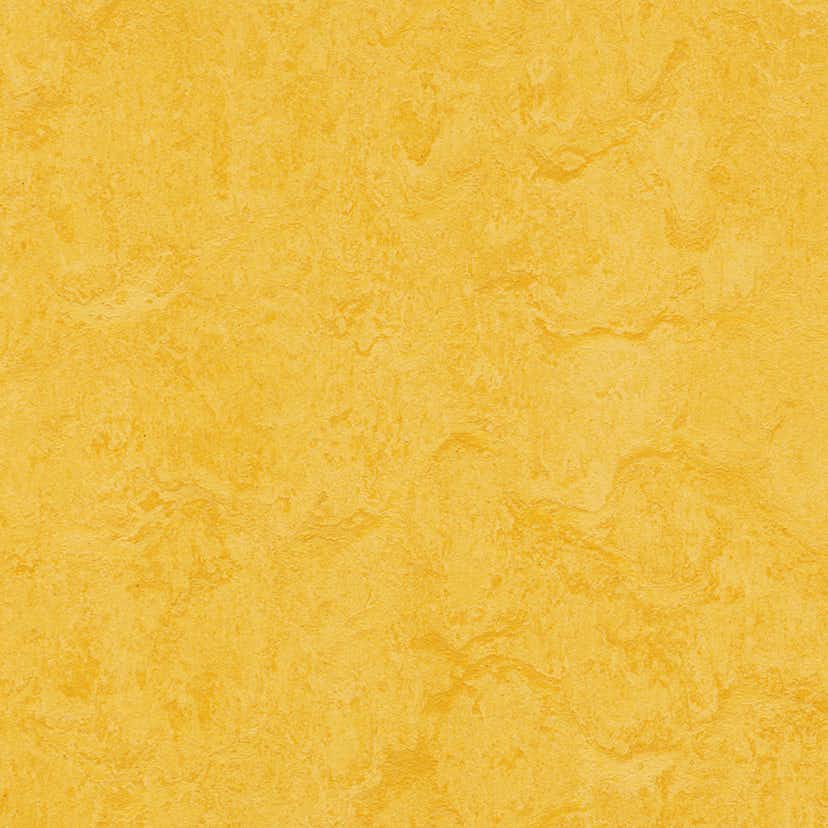 Forbo Linoleumgolv Marmoleum Click Lemon Zest 30x30 cm 450006