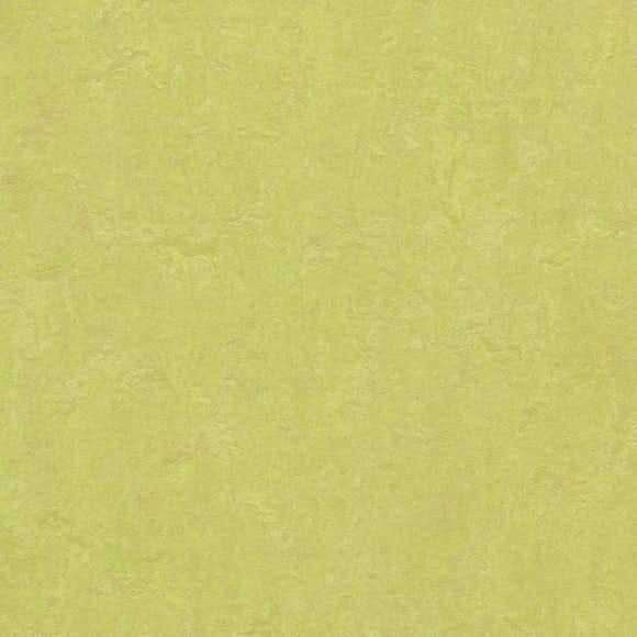 Linoleumgolv Forbo Marmoleum Click Spring Buds 30x30 cm