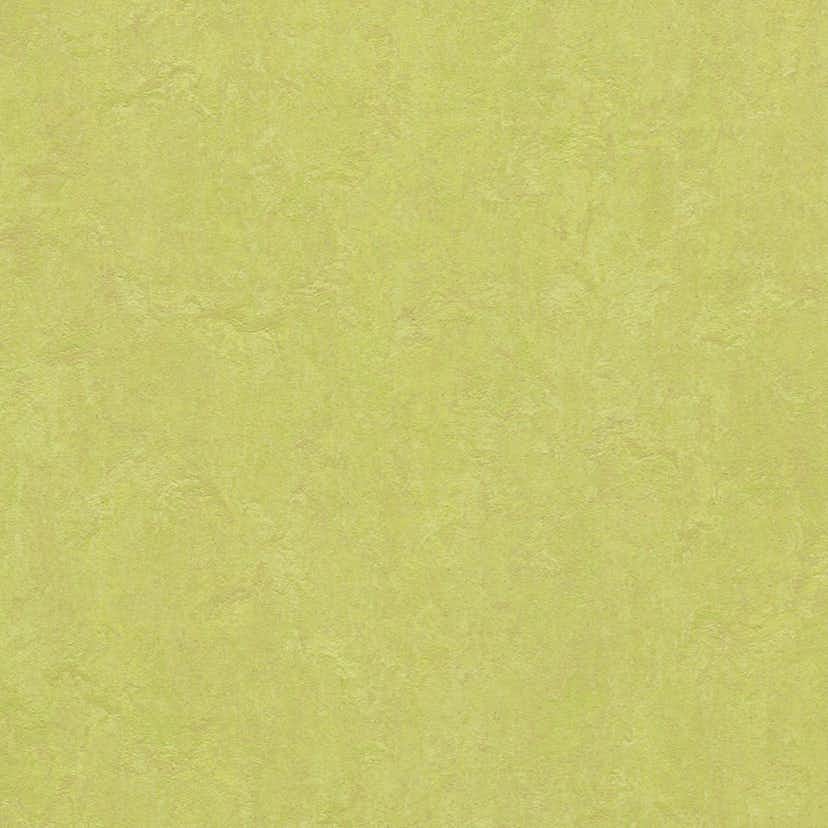 Linoleumgolv Forbo Marmoleum Click Spring Buds 30x30 cm