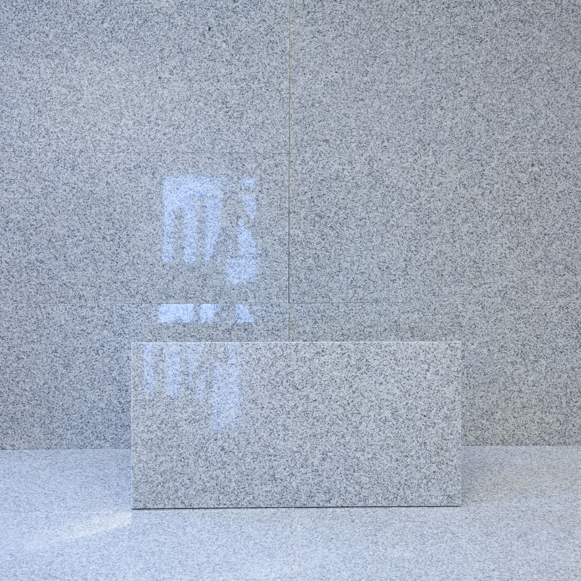 Granit Grå polerad 31×61 cm