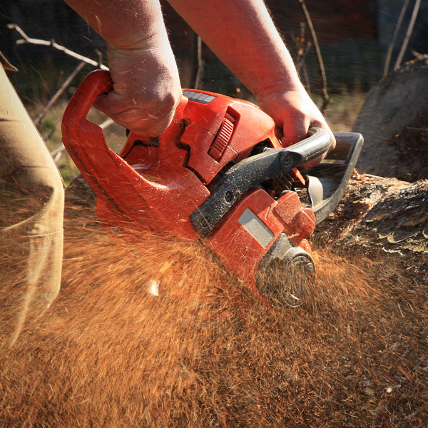 Motorsag og kjedesag