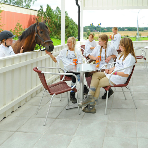 Platta S:t Eriks Klassik Naturgrå Helpall 350x350x50