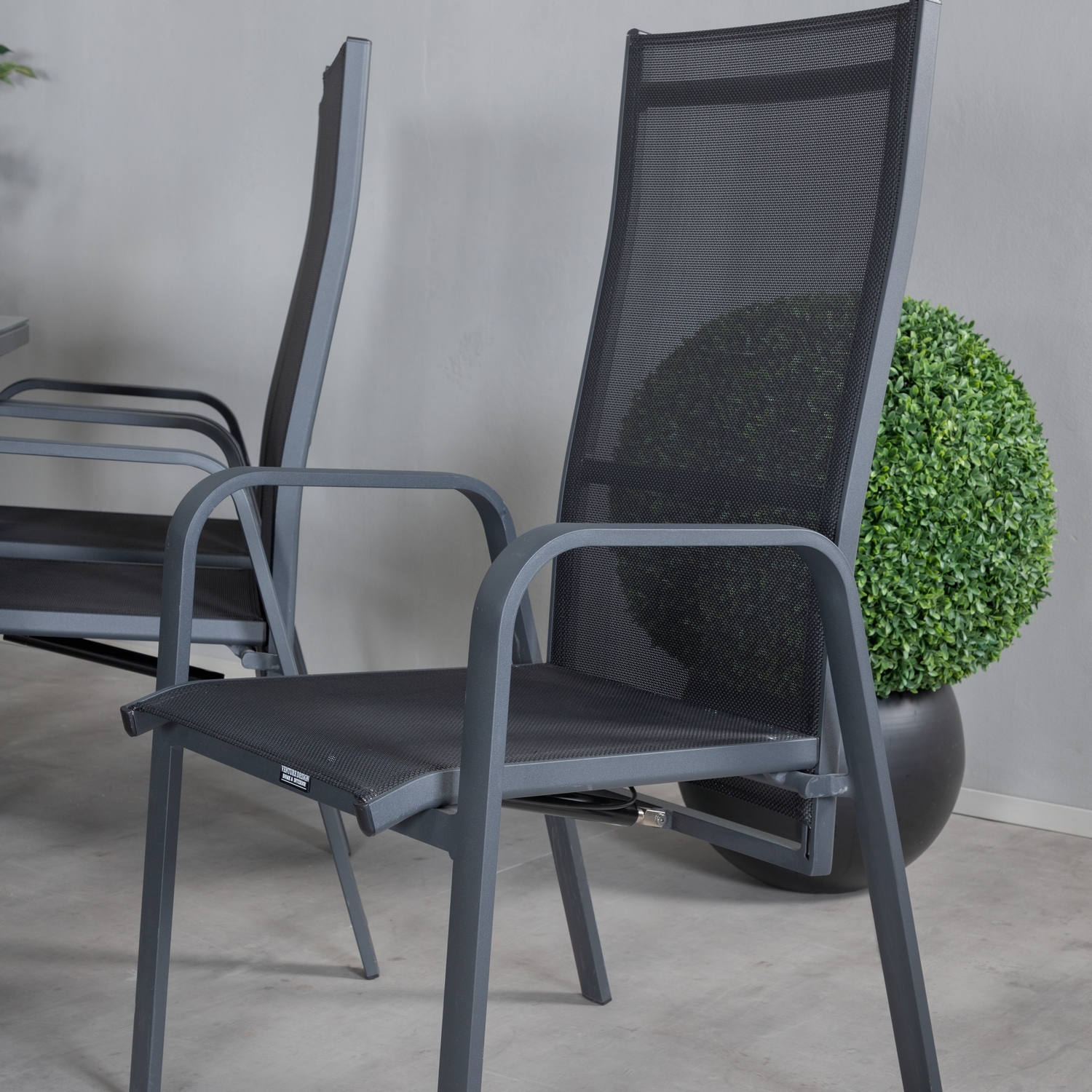 Spisegruppe Venture Home Olle med 6 Curz Spisestoler