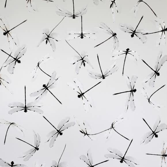 Tapet Mimou Dragonfly White