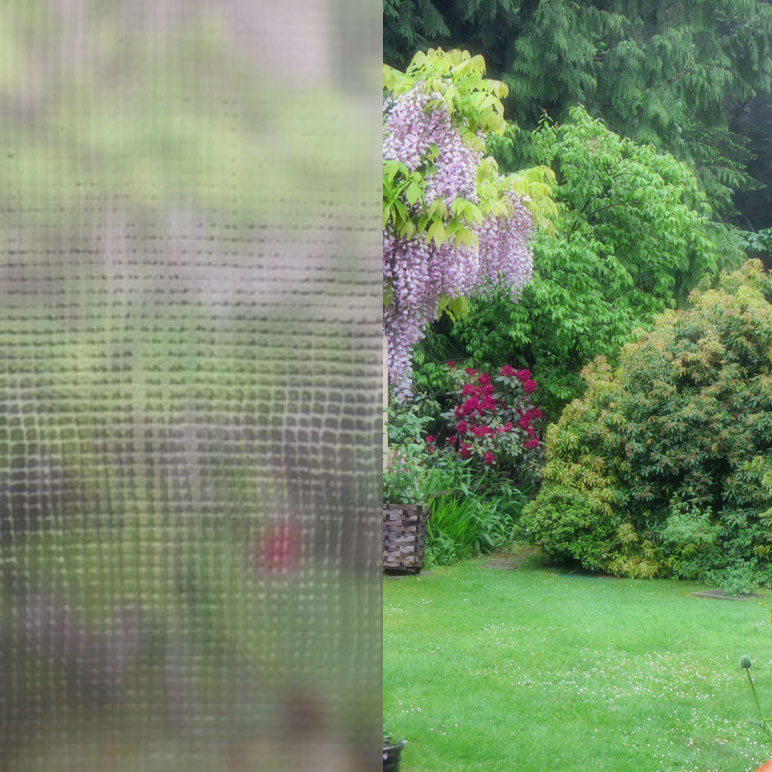 Tillval Tanum NorDan Thelaglas Fönster Thela, BxH:50x40cm