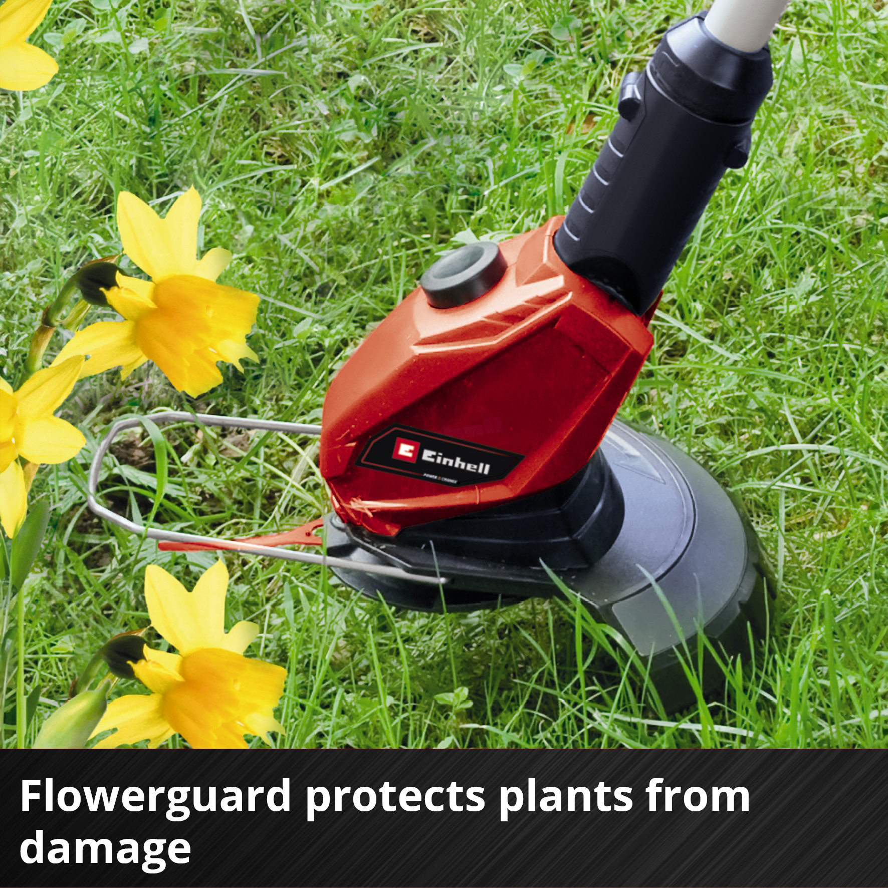 Trimmer Einhell Expert GE-CT 18 Li uten Batteri