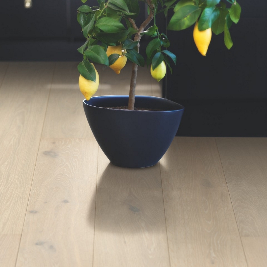 Parkett Pergo W1259 Arctic Oak